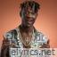 Fik Fameica lyrics