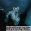 Till Lindemann Entre Dos Tierras lyrics