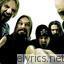 Meshuggah Shed lyrics