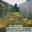 Art Morera lyrics