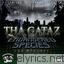 Tha Gataz Family Ties lyrics