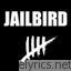 Jailbird lyrics