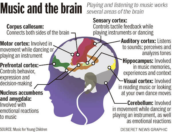 Brain-on-music.jpg