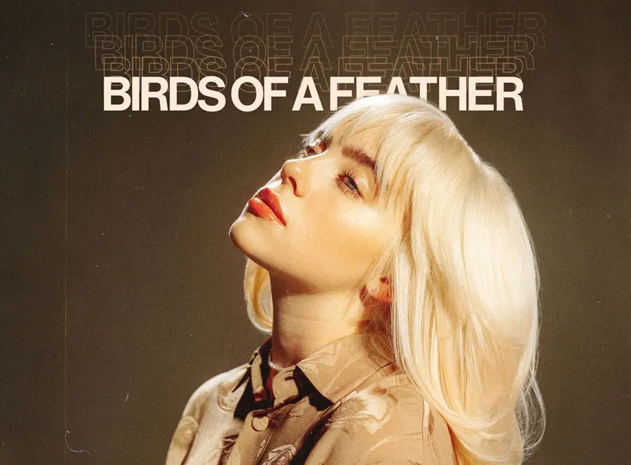 birds-of-a-feather-billie1